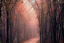 开云在线直播-2026世界杯复仇之战焦点战，日本险胜美国，B费主导比赛，控球优势明显